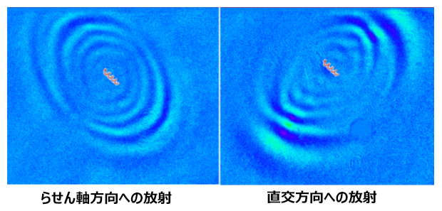 テラヘルツ近接場顕微鏡で可視化したテラヘルツ光放射の図