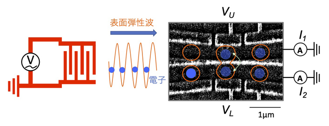 表面弾性波による電子輸送の概念図と試料の電子顕微鏡写真の図