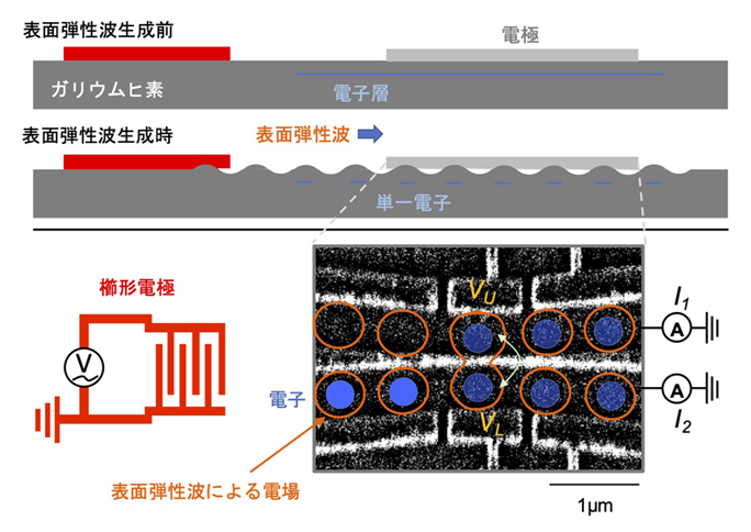 表面弾性波による電子輸送の概念図と試料の電子顕微鏡写真の図