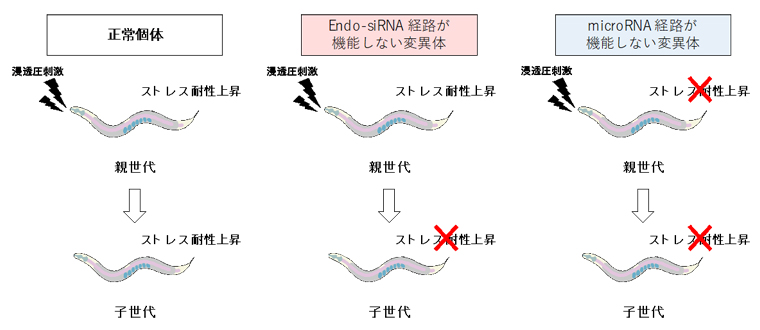 元素周期表の図