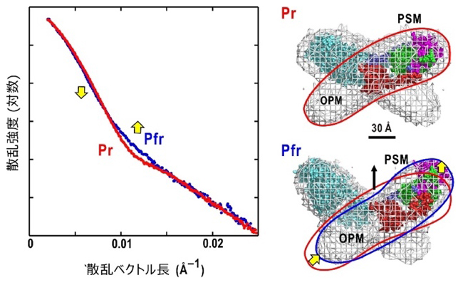 元素周期表の図