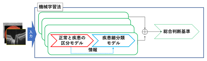 本研究で開発した機械学習法の手順の図