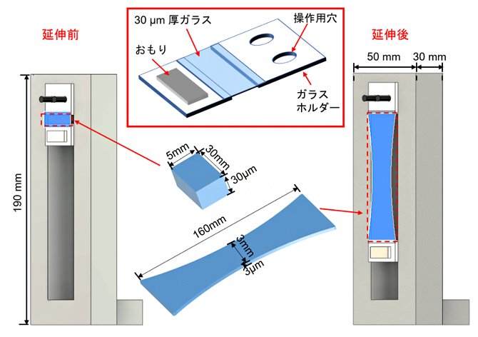 超薄板ガラス作製のコンセプトの図