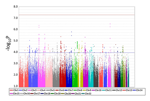 糖尿病網膜症のゲノムワイド関連解析（GWAS）の結果の図