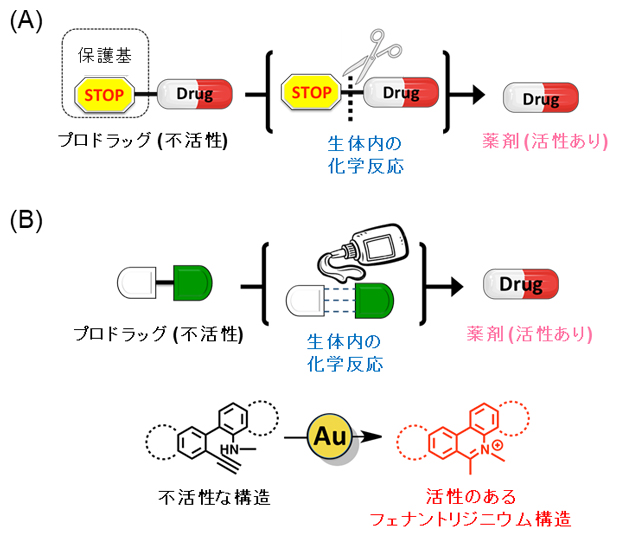 従来のプロドラッグ戦略と新たなプロドラッグ戦略の図