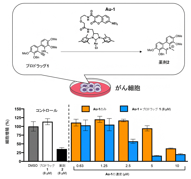 がん細胞存在下でのプロドラッグから薬剤への変換の図