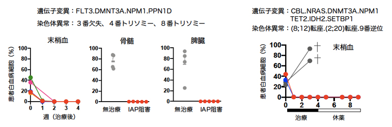 複雑なゲノム異常を持つ白血病の克服の図