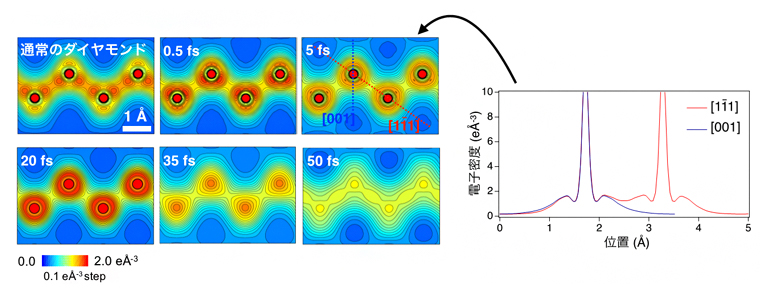 ポンプ光を照射後のダイヤモンド（110）面の価電子の電荷密度分布の時間変化の図