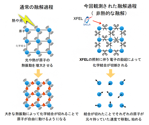 通常の融解過程（左）と今回観測されたXFELによる融解過程（右）との違いの図