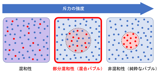 斥力が働く量子気体混合系の概略図の図