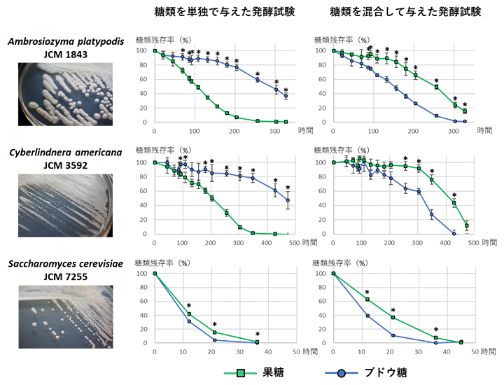 発酵試験におけるブドウ糖・果糖の消費プロファイルの図