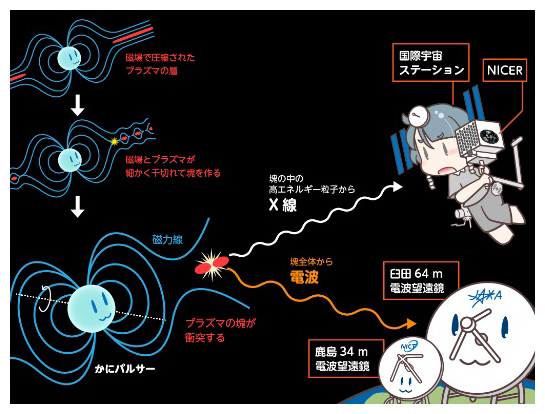 「かにパルサー」の巨大電波パルスに同期したX線増光の発見の図