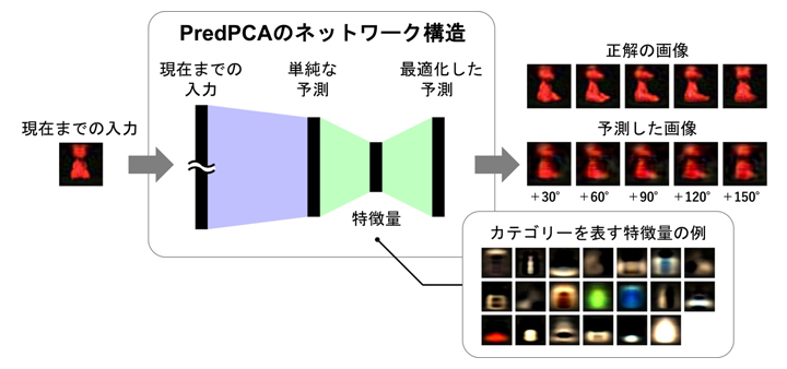 PredPCAによる予測と特徴抽出の概念図の画像