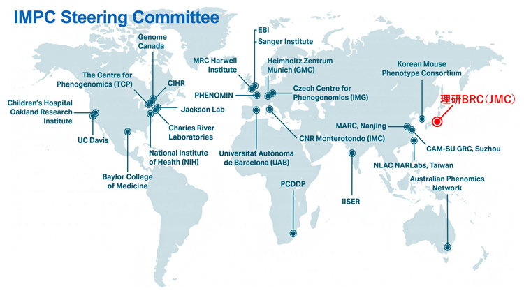 国際マウス表現型解析コンソーシアム（IMPC）の図