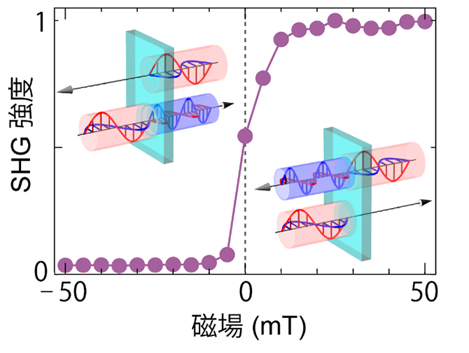 第二次高調波発生（SHG）強度の外部磁場依存性の図