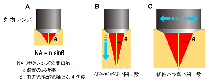 広視野観察（低倍率）と高解像度観察（高開口数）のトレードオフとその解決の図