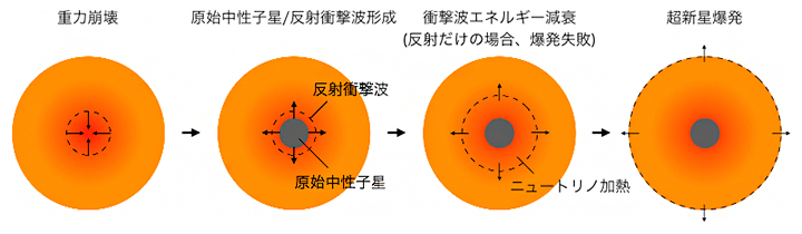 重力崩壊型超新星の爆発メカニズムの図