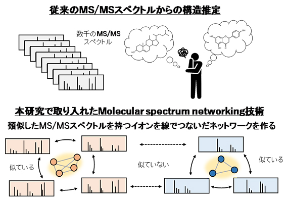 MS/MSスペクトルからの化学構造推定の図