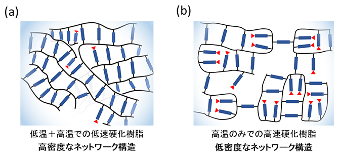 硬化後の分子構造の模式図の画像