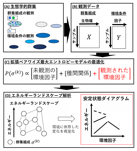 本研究で開発した手法の概要の図