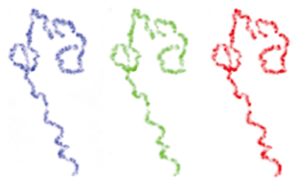 精製タンパク質を使って試験管内で再構成した染色体の図