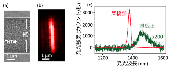 転写された架橋CNTの高強度発光の図