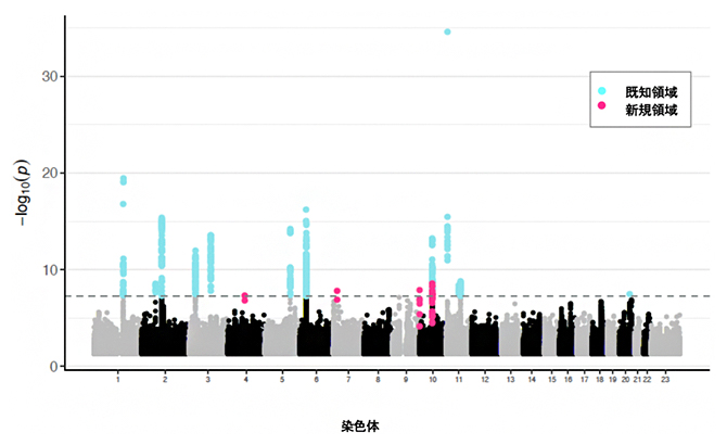 日本人のアトピー性皮膚炎GWASのマンハッタンプロットの図