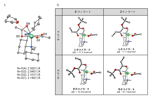 ニッケル錯体触媒と想定されるニッケル-エノラートの構造の図
