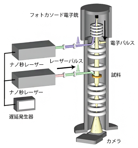 超高速時間分解ローレンツ電子顕微鏡の概略図の画像