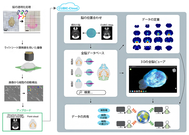 CUBIC-Cloudの概要図の画像