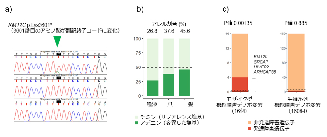 双極性障害におけるモザイク型(後天的)デノボ変異の代表的な例と全体の特徴の図