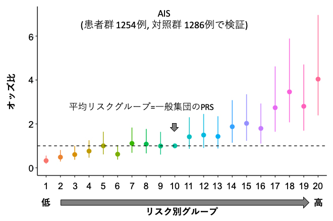 思春期特発性側弯症(AIS)の発症リスクの図