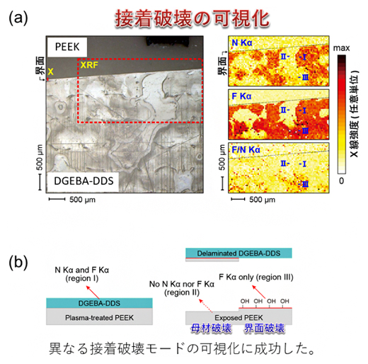 軟Ｘ線顕微分光法による接着界面における接着破壊の可視化の図