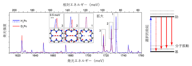 単一分子の振動スペクトルによる化学種の同定の図