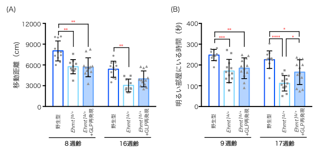 GLPの補充（再発現）によるEhmt1∆/+マウスの表現型への効果の図