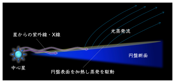 原始惑星系円盤における光蒸発の模式図の画像