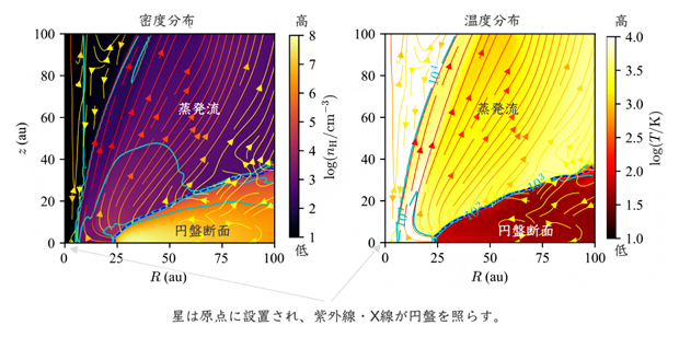 中間質量星周りの原始太陽系円盤における光蒸発シミュレーションの例の図