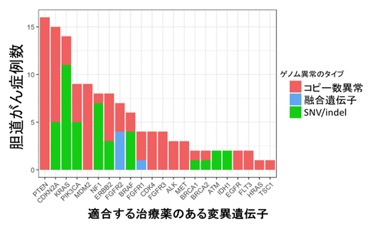 胆道がんにおける薬剤治療の適合が期待される変異遺伝子の頻度の図