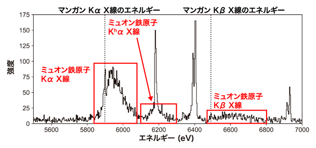 超伝導転移端マイクロカロリメータにより測定したミュオン鉄原子のX線スペクトルの図