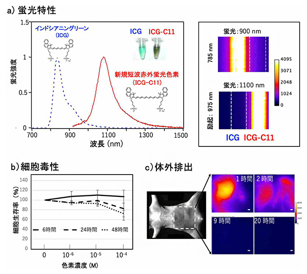本研究で開発したインドシアニングリーン誘導体(ICG-C11)の図