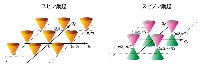 2次元正方格子上のJ1-J2ハイゼンベルグ模型の量子スピン液体相における励起構造の図