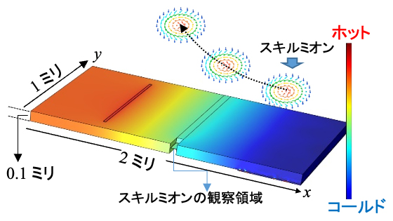 微小熱流によってスキルミオンが試料の高温側に駆動する仕組みの模式図の画像