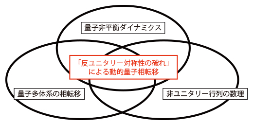 本研究は非平衡ダイナミクス、量子多体系の相転移、非ユニタリー行列の数理を結び付けるの図