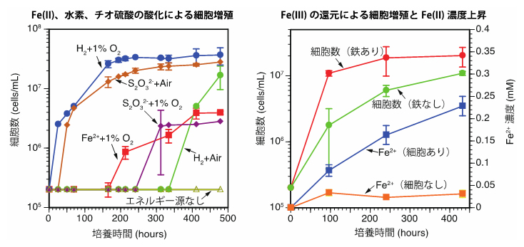 鉄の酸化（左）と還元（右）によるMIZ03株の増殖の図
