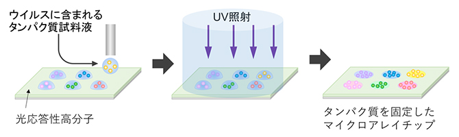光架橋によるタンパク質固定化マイクロアレイチップ作製法の図