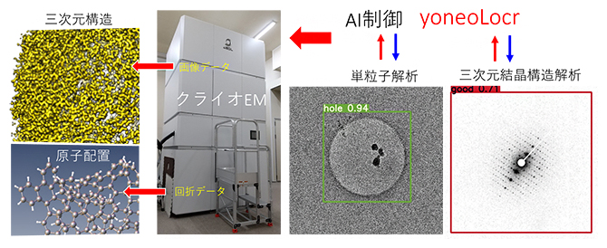 開発したAIソフトウェア「yoneoLocr」によるクライオEMのデータ測定制御の概略の図