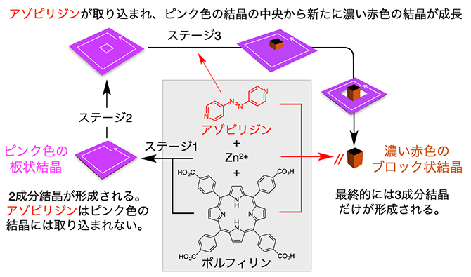 構造的な「欠陥」が多成分結晶の結晶化経路を支配するの図