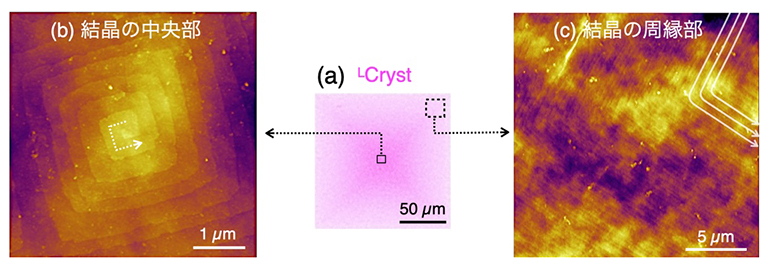 ピンク色の結晶の表面のAFM像の図