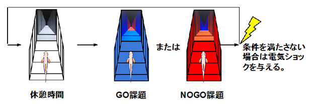 仮想現実空間において行ったGO/NOGO課題の図