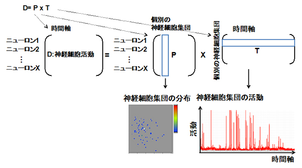 非負値行列因子分解の画像